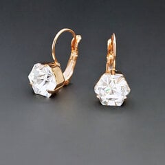 Naiste kõrvarõngad DiamondSky „Kaleidoscope“ koos Swarovski kristallidega hind ja info | Kõrvarõngad | kaup24.ee