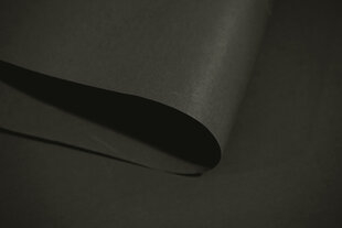 Роллеты Mini Decor D 26 СЕРЫЙ, 85x150 см цена и информация | Рулонные шторы | kaup24.ee