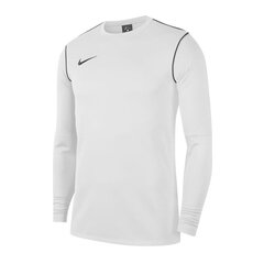 Meeste dressipluus Nike Park 20 Crew M BV6875-100, 54388 hind ja info | Meeste pusad | kaup24.ee
