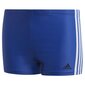 Meeste ujumispüksid Adidas Fit BX 3S Y Jr GE2034 73694 цена и информация | Poiste ujumispüksid | kaup24.ee