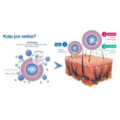 Очищающее средство для лица Sensyses Sebum Sesderma (200 мл) цена и информация | Аппараты для ухода за лицом | kaup24.ee