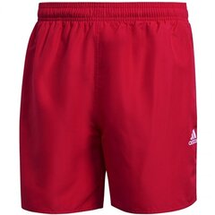 Meeste ujumispüksid Adidas Short Length Solid Swim M GQ1086 75920 цена и информация | Плавки, плавательные шорты | kaup24.ee