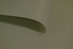 Ролет Mini Decor D 25 СЕРЫЙ, 47x150 см цена и информация | Рулонные шторы | kaup24.ee