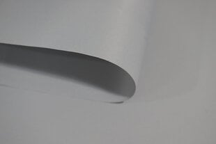 Ролет Mini Decor D 22 СЕРЫЙ, 35x150 см цена и информация | Рулонные шторы | kaup24.ee