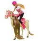 Hobusega nukk Steffi Riding Tour цена и информация | Tüdrukute mänguasjad | kaup24.ee