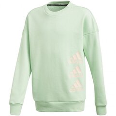 Джемпер для мальчиков Adidas Jg Mh Crew, зеленый GE0965 цена и информация | Свитеры, жилетки, пиджаки для мальчиков | kaup24.ee