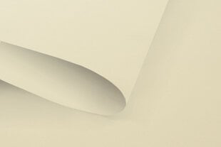 Мини-ролет с механизмом натяжения и 100% затемняющим материалом 57x150 см, бежевый цена и информация | Рулонные шторы | kaup24.ee