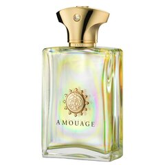 Amouage Fate for Men EDP meestele 100 ml hind ja info | Meeste parfüümid | kaup24.ee
