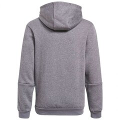 Джемпер детский Adidas Tiro 21 Sweat Hoody Jr GP8803 77939, серый цена и информация | Свитеры, жилетки, пиджаки для девочек | kaup24.ee