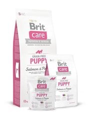 Brit Care Puppy Salmon & Potato полноценный корм для собак 12кг цена и информация |  Сухой корм для собак | kaup24.ee