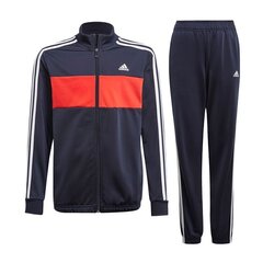 Poiste spordikostüüm Adidas Tiberio Jr GN3972 74743 hind ja info | Komplektid poistele | kaup24.ee