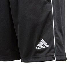 Шорты для мальчиков Adidas Core 18 TR Short JR CE9030 цена и информация | Poiste lühikesed püksid | kaup24.ee