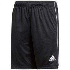 Poiste lühieksed püksid Adidas Core 18 TR Short JR CE9030 цена и информация | Шорты для мальчиков | kaup24.ee