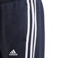 Spordipüksid poistele Adidas Essentials 3 Stripes Pant Jr GQ8898 hind ja info | Poiste püksid | kaup24.ee