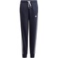 Spordipüksid poistele Adidas Essentials 3 Stripes Pant Jr GQ8898 hind ja info | Poiste püksid | kaup24.ee