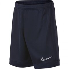 Спортивные шорты для мальчиков Nike B Dry Academy Junior AO0771 452, синие цена и информация | Шорты для мальчиков | kaup24.ee