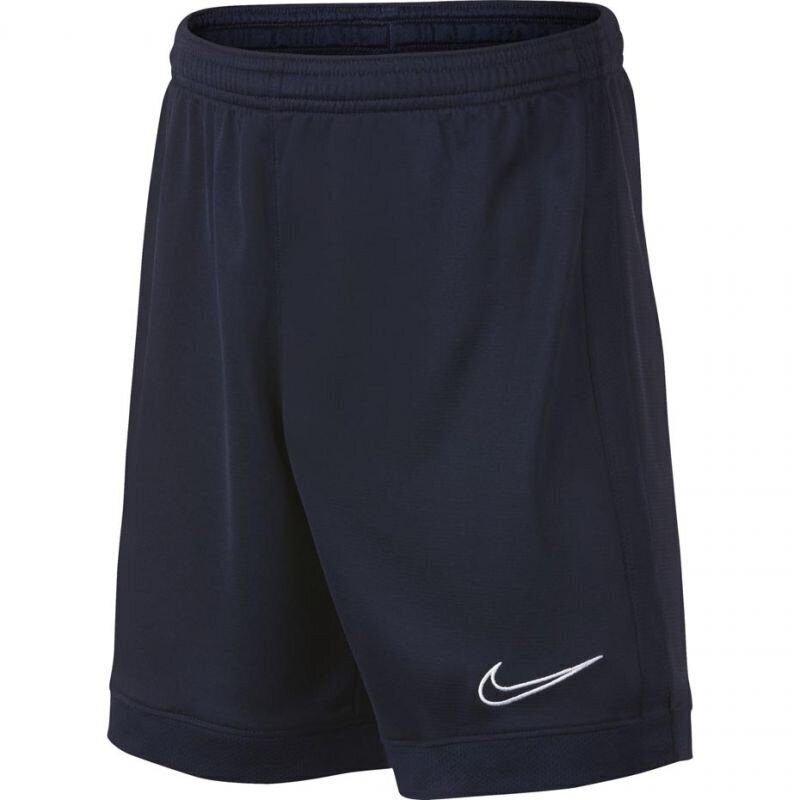 Poiste spordipüksid Nike B Dry Academy Junior AO0771 452, sinine hind ja info | Poiste lühikesed püksid | kaup24.ee