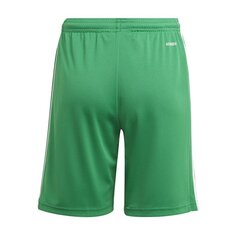 Спортивные шорты для мальчиков Adidas Squadra 21 Short Y Jr GN5762 цена и информация | Poiste lühikesed püksid | kaup24.ee