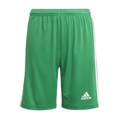 Spordipüksid poistele Adidas Squadra 21 Short Y Jr GN5762 hind ja info | Poiste lühikesed püksid | kaup24.ee