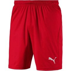 Спортивные шорты для мужчин Puma Liga Core M цена и информация | Мужская спортивная одежда | kaup24.ee