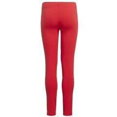 Spordiretuusid tüdrukutele Essentials Leggins Jr GN4067 цена и информация | Штаны для девочек | kaup24.ee