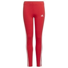 Spordiretuusid tüdrukutele Essentials Leggins Jr GN4067 цена и информация | Штаны для девочек | kaup24.ee