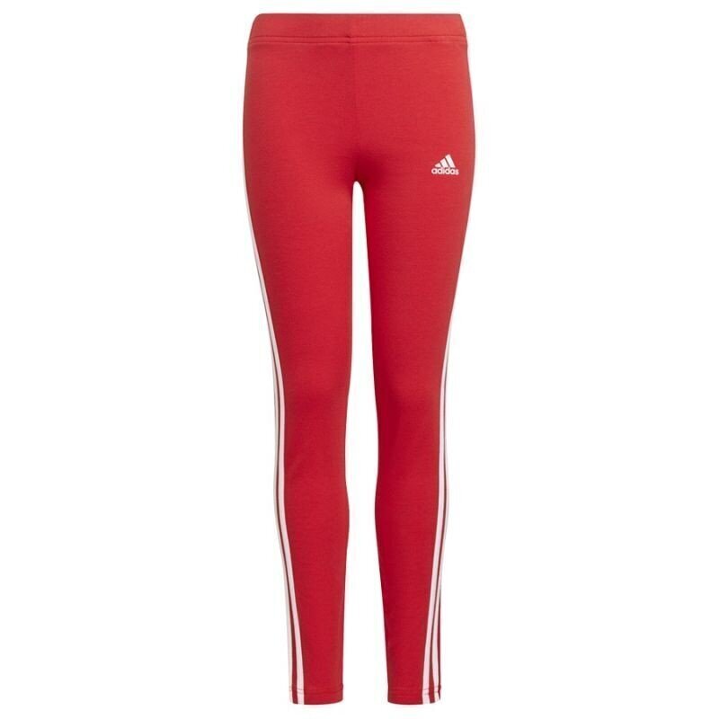 Spordiretuusid tüdrukutele Essentials Leggins Jr GN4067 hind ja info | Tüdrukute retuusid, püksid | kaup24.ee