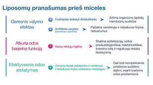 Липосомальное очищающее средство Sesderma Sensyses, 200 мл цена и информация | Аппараты для ухода за лицом | kaup24.ee