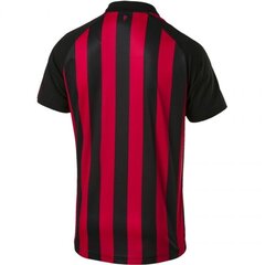 Спортивная мужская футболка Puma AC Milan Home SS M 754419 06, красная цена и информация | Мужская спортивная одежда | kaup24.ee