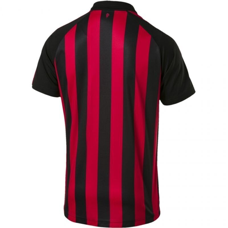 Meeste spordisärk Puma AC Milan Home SS M 754419 06, punane hind ja info | Meeste spordiriided | kaup24.ee