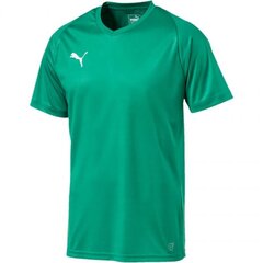 Спортивная футболка мужская Puma Liga Core M 703509 05, 46881 цена и информация | Мужская спортивная одежда | kaup24.ee