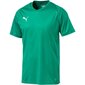 Meeste spordisärk Puma Liga Core M 703509 05, 46881 цена и информация | Meeste spordiriided | kaup24.ee