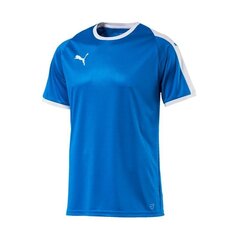 Спортивная футболка мужская Puma LIGA M 703417 02 цена и информация | Мужская спортивная одежда | kaup24.ee