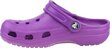 Naiste sandaalid Crocs Crocs Beach 10002-511, lilla цена и информация | Naiste plätud ja sussid | kaup24.ee