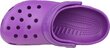 Naiste sandaalid Crocs Crocs Beach 10002-511, lilla цена и информация | Naiste plätud ja sussid | kaup24.ee