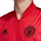 Meeste dressipluus Adidas MUFC Anthem M DX9077, punane hind ja info | Meeste pusad | kaup24.ee