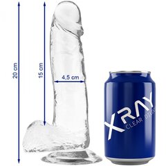 Läbipaistev dildo Xray (20x4.5cm) hind ja info | Dildod | kaup24.ee