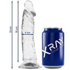 Прозрачный фаллоимитатор Xray (19x4 см) цена и информация | Фаллоимитаторы | kaup24.ee