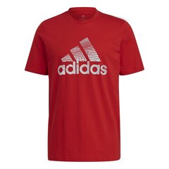 Футболка adidas Extrusion Motion Puff-Print Logo Graphic цена и информация | Мужская спортивная одежда | kaup24.ee