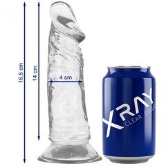 Läbipaistev dildo Xray (16.5x4cm) hind ja info | Dildod | kaup24.ee