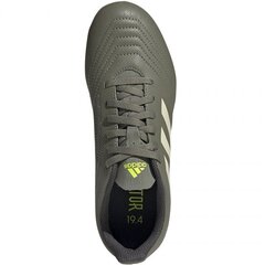 Jalgpalli puutsad Adidas Predator 19.4 FxG JR EF8221, 51129 цена и информация | Футбольные бутсы | kaup24.ee