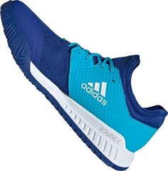 Спортивная волейбольная обувь для мужчин Adidas Court Team Bounce M, синяя цена и информация | Кроссовки для мужчин | kaup24.ee