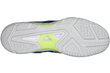 Tossud Asics Gel-Beyond 5 MT B600N-400, 47, tumesinised hind ja info | Spordi- ja vabaajajalatsid meestele | kaup24.ee