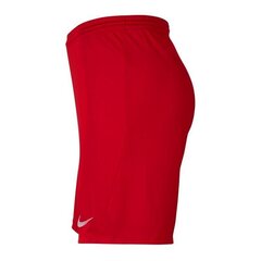 Poiste lühikesed spordipüksid Nike Park III Knit Jr BV6865-657, 51965, punane hind ja info | Poiste lühikesed püksid | kaup24.ee