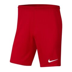 Poiste lühikesed spordipüksid Nike Park III Knit Jr BV6865-657, 51965, punane hind ja info | Poiste lühikesed püksid | kaup24.ee