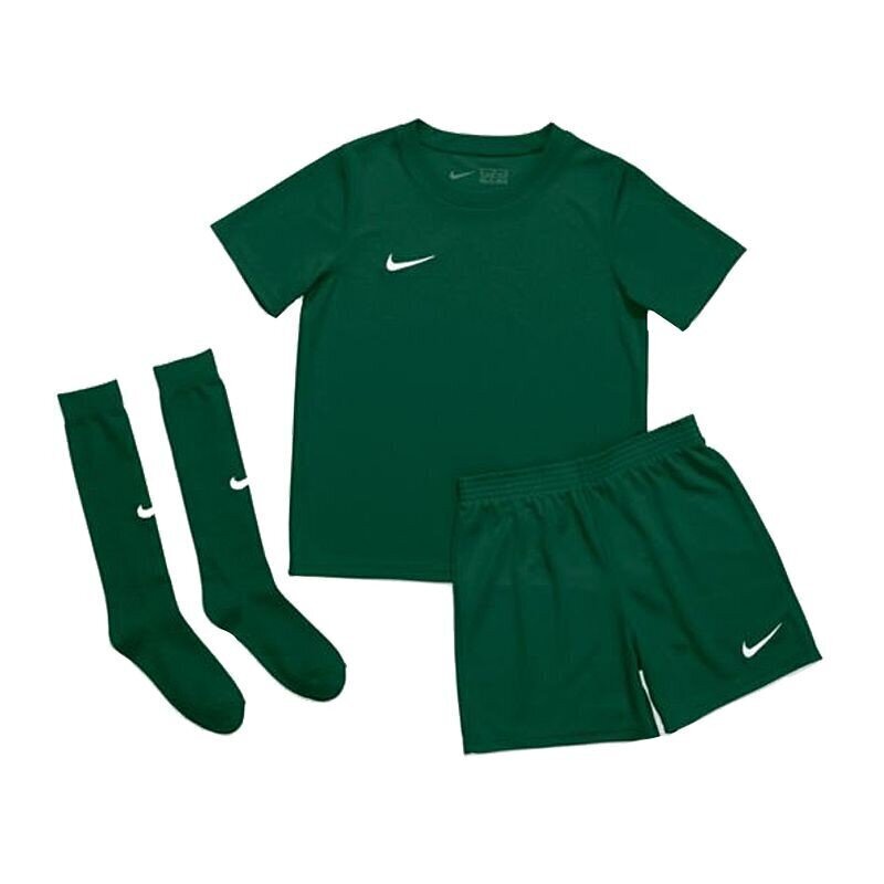 Poiste spordikostüüm Nike Dry Park 20 Jr CD2244-302, roheline hind ja info | Poiste püksid | kaup24.ee