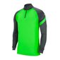 Meeste dressipluus Nike Dry Academy Dril Top M BV6916-398, roheline hind ja info | Meeste pusad | kaup24.ee