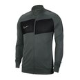 Meeste dressipluus Nike Dry Academy Pro M BV6918-069, hall