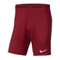Poiste lühikesed spordipüksid Nike Park III Knit Jr BV6865-677, 52298, punane цена и информация | Poiste lühikesed püksid | kaup24.ee