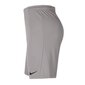 Spordipüksid poistele Nike Park III Knit Jr BV6865-017, 52319, hall цена и информация | Poiste lühikesed püksid | kaup24.ee